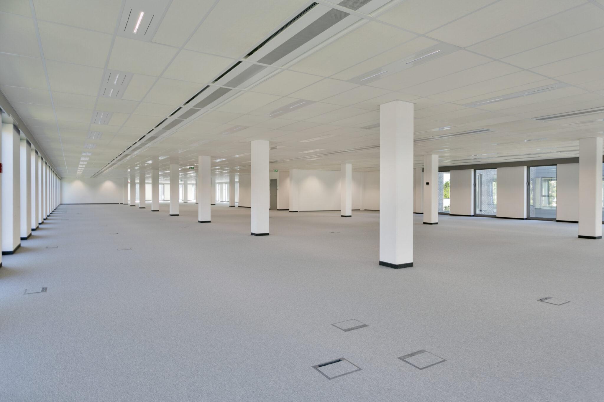 The Ultimate Berchem